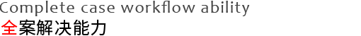 全案解决能力