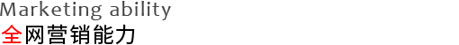 全网营销能力